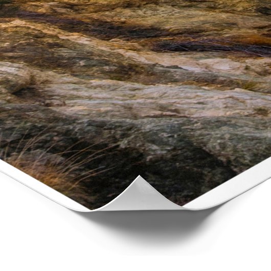 Road Into the Quiet Poster (Hoek)