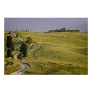 Road naar Terrapille in Toscane, fotoprint Foto Afdruk
