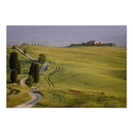 Road naar Terrapille in Toscane, fotoprint Foto Afdruk (Voorkant)