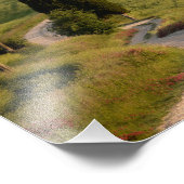 Road naar Terrapille in Toscane, fotoprint Foto Afdruk (Hoek)