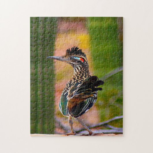 Road Runner Arizona. Legpuzzel (Verticaal)