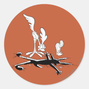 ROAD RUNNER™ en WILE E. COYOTE™ Vormig gat Ronde Sticker