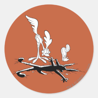ROAD RUNNER™ en WILE E. COYOTE™ Vormig gat Ronde Sticker