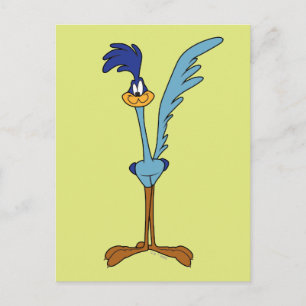 ROAD RUNNER™ in kleur Briefkaart
