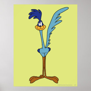ROAD RUNNER™ in kleur Poster