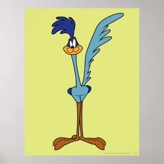 ROAD RUNNER™ in kleur Poster (Voorkant)
