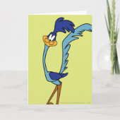 ROAD RUNNER™ Kleur Kaart (Voorkant)