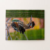 Road Runner Legpuzzel (Horizontaal)