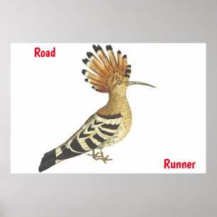 Road Runner Poster