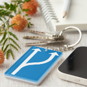 Road Sign Arrows Sleutelhanger (Voorkant Rechts)