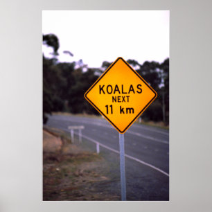 Road sign New South Wales, Australië Poster