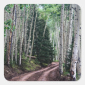 Road Through The Birch Vierkante Sticker (Voorkant)