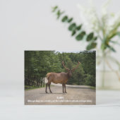 Roadkill Briefkaart (Staand voorkant)