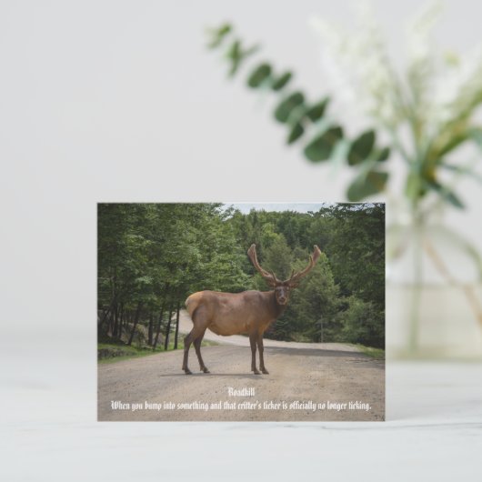 Roadkill Briefkaart (Staand voorkant)