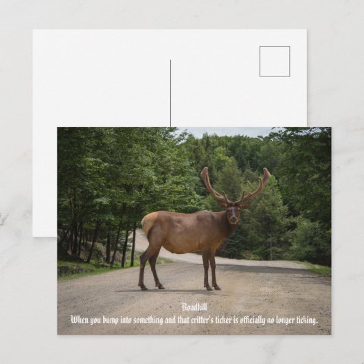Roadkill Briefkaart (Voorkant / Achterkant)