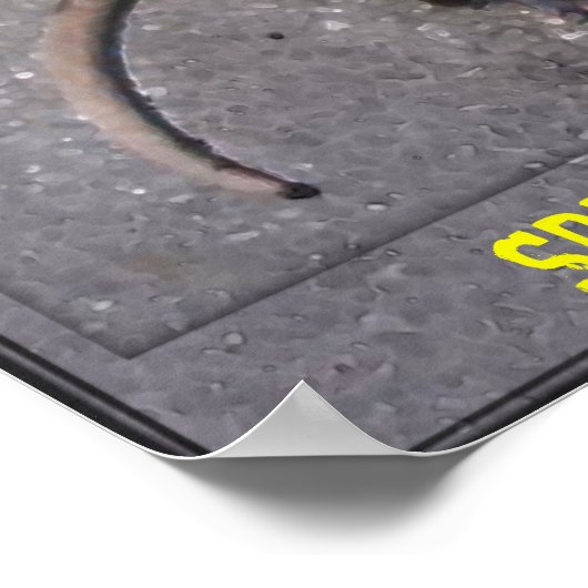 Roadkill Motivatie Poster (Hoek)