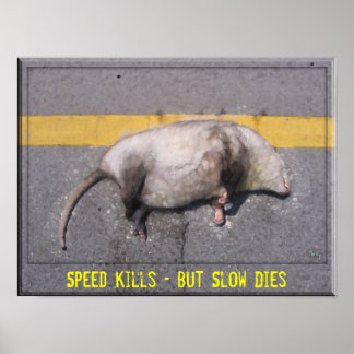 Roadkill Motivatie Poster