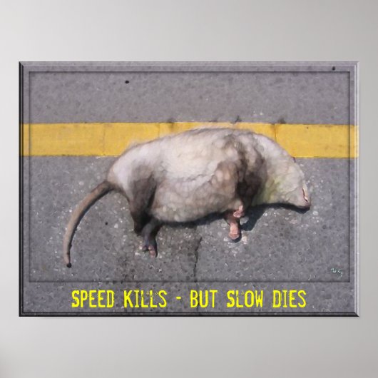 Roadkill Motivatie Poster (Voorkant)