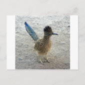 Roadrunner Briefkaart (Voorkant)
