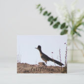RoadRunner California briefkaart (Staand voorkant)