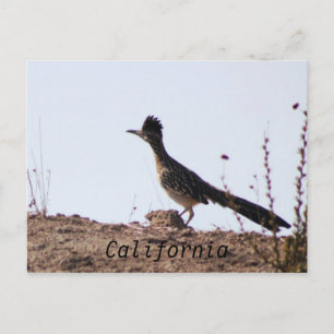 RoadRunner California briefkaart