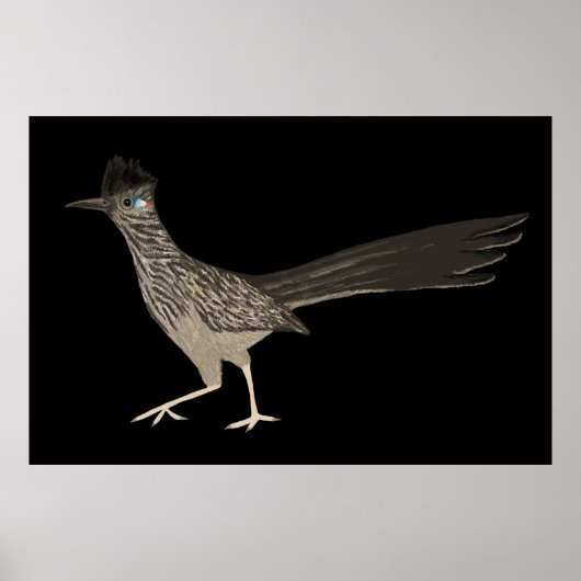 Roadrunner Colored Potlood die op zwarte trekt Poster (Voorkant)