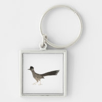Roadrunner coole vogelillustratie