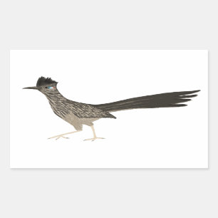 Roadrunner-gekleurde potloodtekening rechthoekige sticker