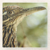 Roadrunner Glass Onderzetter (Voorkant)