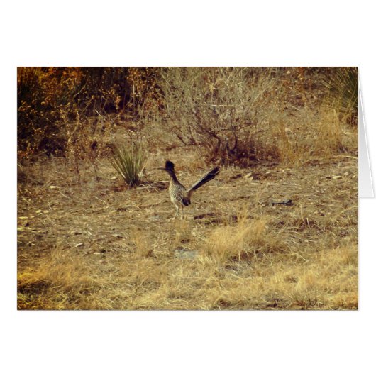Roadrunner lege wenskaart + witte envelop (Voorkant Horizontaal)