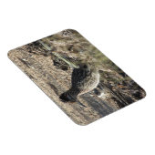 Roadrunner Magnet Magneet (Rechterzijde)