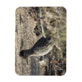Roadrunner Magnet Magneet (Verticaal)