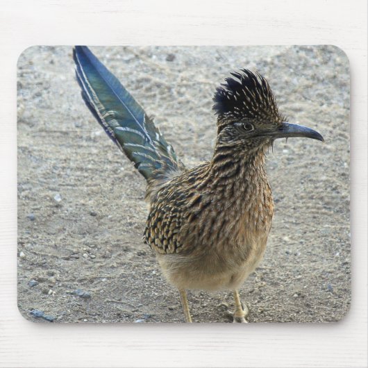 Roadrunner Muismat (Voorkant)