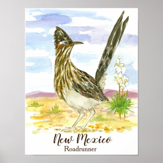 Roadrunner New Mexico State Bird Poster (Voorkant)