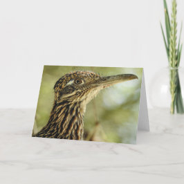 Roadrunner Notecard Kaart