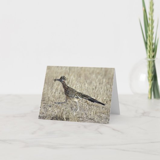 Roadrunner Photograph Note Card Kaart (Voorkant)