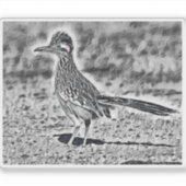 Roadrunner Sketch Sticker (Voorkant)