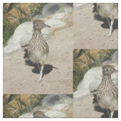 Roadrunner Stof (Close Up)