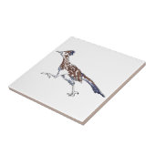 Roadrunner Tegeltje (Zijkant)