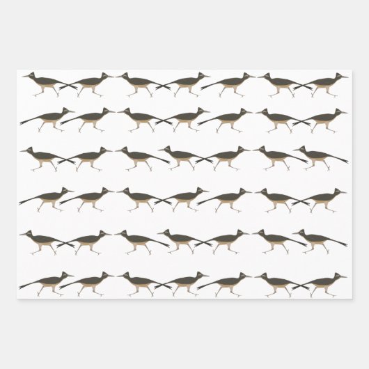 Roadrunner Wrapping Paper Flat Sheet Set van 3 (Voorkant 3)