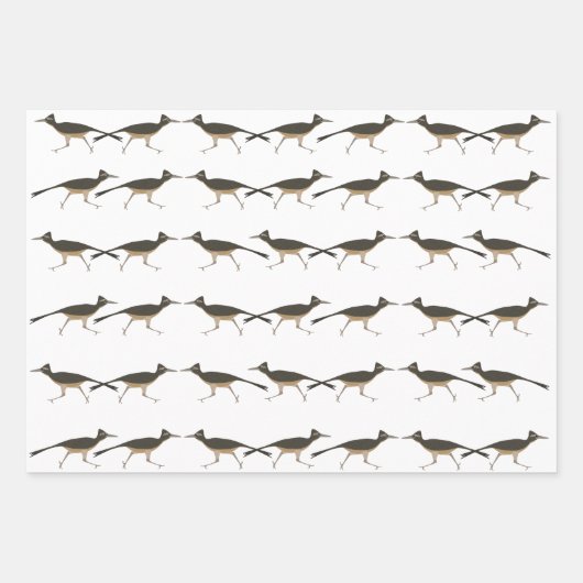 Roadrunner Wrapping Paper Flat Sheet Set van 3 (Voorkant 2)