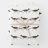 Roadrunner Wrapping Paper Flat Sheet Set van 3 (In situ)