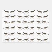 Roadrunner Wrapping Paper Flat Sheet Set van 3 (Voorkant)