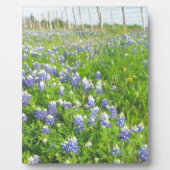 Roadside Bluebonnets Fotoplaat (Voorkant)