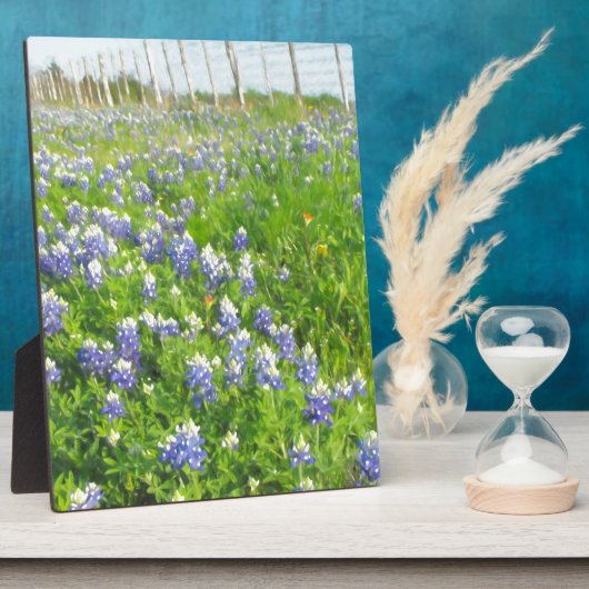 Roadside Bluebonnets Fotoplaat (Zijkant)