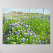 Roadside Bluebonnets Print (Voorkant)