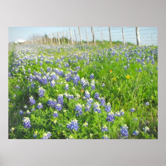 Roadside Bluebonnets Print (Voorkant)