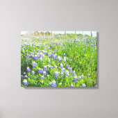 Roadside Bluebonnets Stretted Canvas (Voorkant)