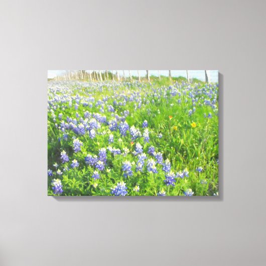 Roadside Bluebonnets Stretted Canvas Afdruk (Voorkant)