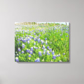 Roadside Bluebonnets Stretted Canvas Afdruk (Voorkant)